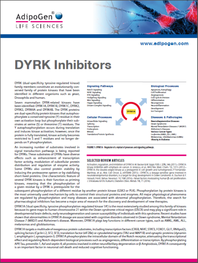 DYRK Inhibitors Flyer 2017