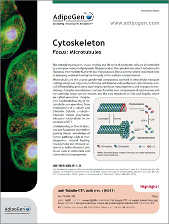 Cytoskeleton Flyer 2012