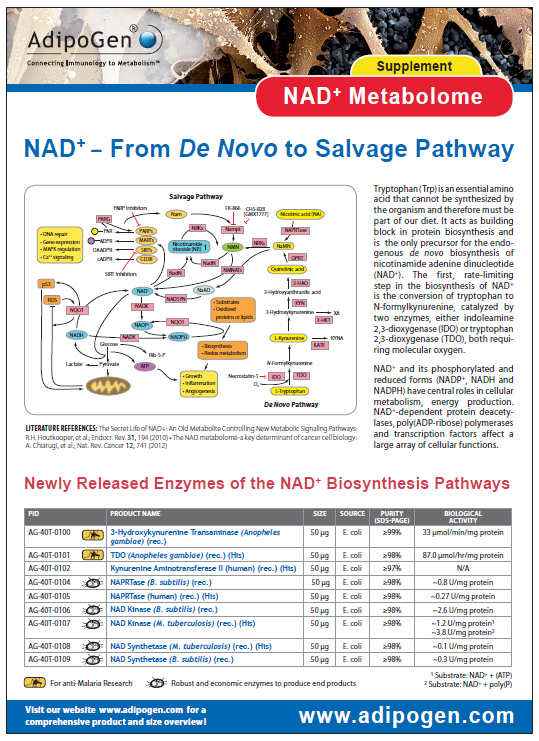 NAD Metabolome Supplement Flyer