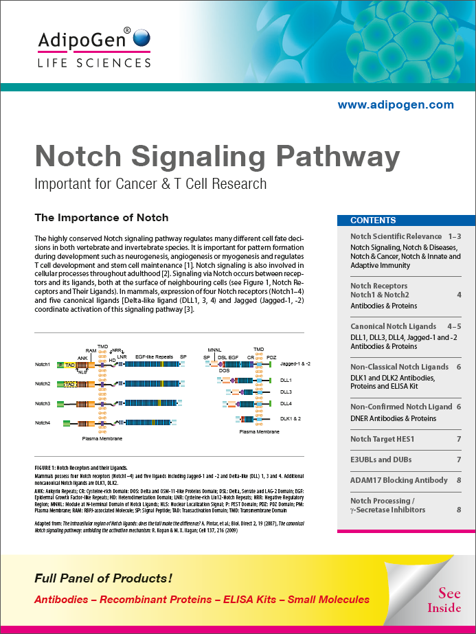 Notch Signaling Pathway Brochure 2020