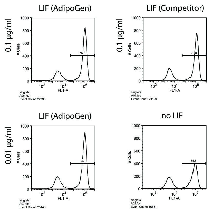 Figure: Human Leukemia Inhibitory Factor (LIF) (rec.) (AG-40B-0093) maintains pluripotency of mouse ES cells. Method: Mouse ES oct4 GFP cells were cultured for 3 days in the presence of the indicated concentrations of LIF and followed