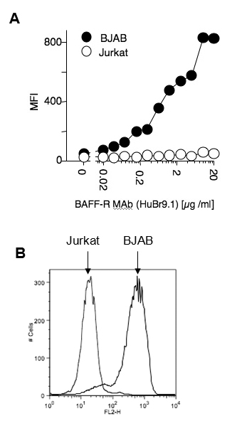 Detection of endogenous human BAFF-R with anti-BAFF-R (human), mAb (HuBR9.1) (AG-20B-0016).
BJAB and Jurkat cells were stained with A) 20 ?g /ml (and 2-fold dilutions) and B) 2?g /ml of anti-BAFF-R (human), mAb (HuBR9.1) in 50 ?l FACS buffe