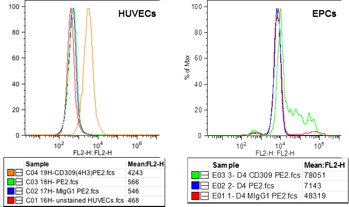 anti-VEGFR-2/KDR (human), mAb (3(4H3))