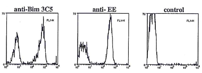 Flow cytometry data in permeabilized and fixed transfected cells using anti-Bim, mAb (3C5) (Prod. No. AG-20T-0142), anti-EE (positive control) or secondary antibody alone (negative control). Staining was visualised by FITC-conjugated goat anti-rat or anti
