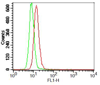 Intracellular flow cytometry analysis of TLR3 in THP-1 cell line using 0.5?g/106 cells of anti-TLR3 (human), mAb (ABM15D5) (FITC) (AG-20T-0301F). Green represents isotype control; red represents FITC-conjugated anti-TLR3 (human), mAb (ABM15D5).