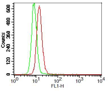 Intracellular flow cytometry analysis of TLR3 in THP-1 cell line using 0.5microg/106 cells of anti-TLR3 (human), mAb (ABM15D5) (FITC) (AG-20T-0301F). Green represents isotype control; red represents FITC-conjugated anti-TLR3 (human), mAb (ABM15D5).