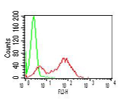 Intracellular flow cytometry analysis of TLR3 in human PBMCs (lymphocytes) using 0.5?g/106 cells of anti-TLR3 (human), mAb (ABM15D5) (R-PE) (AG-20T-0301R). Green represents isotype control; red represents R-PE-conjugated anti-TLR3 (human), mAb