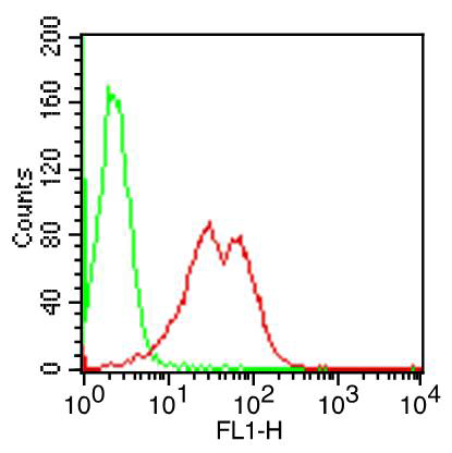 Intracellular flow cytometry analysis in mouse splenocytes using anti-TLR9 (mouse), mAb (ABM4D70) (FITC) (AG-20T-0309F) at 0.25?g/106 cells. Green represents isotype control; red represents FITC-conjugated anti-TLR9 (mouse), mAb (ABM4D70).
