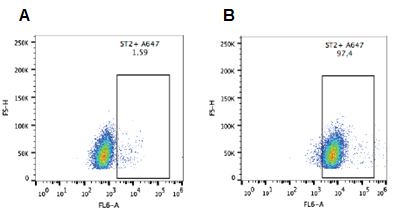 Detection of endogenous human ST2 with anti-ST2 (human), pAb (AG-25A-0058). Method: THP1 cells were stained with anti-ST2 (human), pAb (1:100 in PBS + 2% FCS) (Figure B) or with the secondary antibody alone (Figure A) for 1h at 4?C. The staining wa