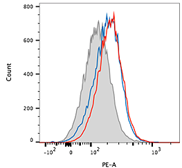 Detection of endogenous mouse LRP5/6 using anti-LRP5/6, mAb (rec.) (Heldy-1-4) (Prod. No. AG-27B-0019). Method: B16 melanoma mouse cells were stained with anti-LRP5/6, mAb (rec.) (Heldy-1-4) (blue and red lines) (1/100 in PBS + 2% FCS) or