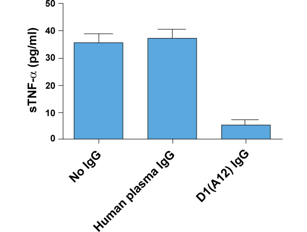 D1(A12) IgG inhibits constitutive shedding of TNF-alpha from IGROV1 (human ovarian cancer cell line) into culture medium. Medium was collected after 48 hours of incubation with or without IgGs at 200nM.
