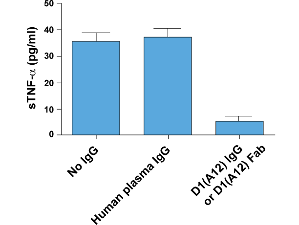 D1(A12) IgG or D1(A12) Fab inhibits constitutive shedding of TNF-alpha from IGROV1 (human ovarian cancer cell line) into culture medium. Medium was collected after 48 hours of incubation with or without IgGs at 200nM.