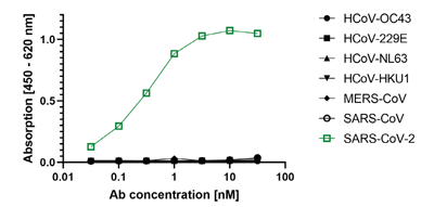 anti-SARS-CoV-2 N Protein, mAb (rec.) (AB83-C12)