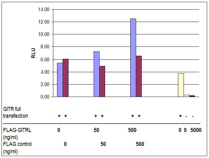 GITRL, Soluble (mouse) (rec.) (Prod. No. AG-40A-0008) induced GITR-mediated NF-kappaB activation.  HEK293 cells were transiently transfected with 20ng of a (NF-kappaB)-Luc reporter, 2ng of a Renilla luciferase, and with 20ng of a GITR full lengt