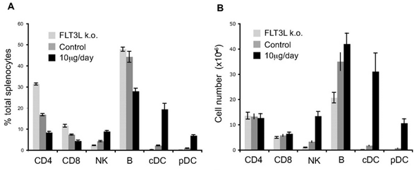 Influence of FLT3L treatment on lymphocyte subpopulations. Method: C57BL/6 mice were injected intraperitoneally with 10 ?g daily or were left untreated. (A) Percentages of indicated splenic subpopulations in FLT3L KO, WT control or WT-treated mice.