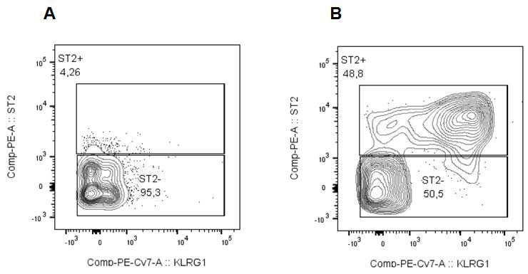 Activation in vivo of Innate Lymphoid Cells 2 (ILC2) by IL-33 (oxidation resistant) (human) (rec.) (untagged) (AG-40B-0160). Method: C57BL/6 mice were injected daily for 3 days with PBS (Figure A) or IL-33 (oxidation resistant) (human) (rec.