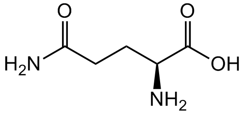 L-Glutamine [H-Gln-OH] [56-85-9]