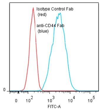 Binding of anti-CD44 Fab + GAM/FITC to human Molt-4 cells. Method: Five x 10^5 cultured human Molt-4 cells were incubated 45 minutes on ice with 80 microl of anti-CD44 Fab at 5 microg/ml. Cells were washed twice and incubated with 2nd reagent goat anti-Mouse IgG/FITC (#ANC-232-011), after which they were washed three times, fixed and analyzed by FACS. Cells stained positive with a mean shift of 1.28 log10 fluorescent units when compared to a Mouse IgG1 Fab (#ANC-278-580). Binding of anti-CD44 Fab + GAM/FITC to human Molt-4 cells. Method: Five x 10^5 cultured human Molt-4 cells were incubated 45 minutes on ice with 80 microl of anti-CD44 Fab at 5 microg/ml. Cells were washed twice and incubated with 2nd reagent goat anti-Mouse IgG/FITC (#ANC-232-011), after which they were washed three times, fixed and analyzed by FACS. Cells stained positive with a mean shift of 1.28 log10 fluorescent units when compared to a Mouse IgG1 Fab (#ANC-278-580).