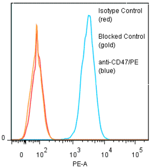 anti-CD47 (human), mAb (ANC2F6) (R-PE)