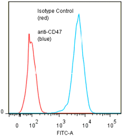 anti-CD47 (human), mAb (ANC2F6) (preservative free)