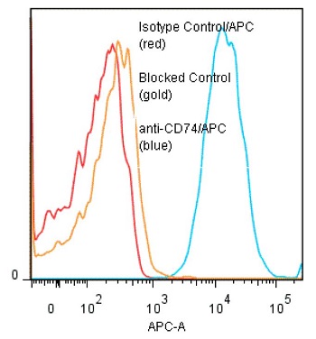 Binding of anti-CD74/APC to human Raji cells. Method: Five x 10^5 cultured Raji human tumor cells were washed and incubated 45 minutes on ice with 80 microl of anti-CD74/APC at a 1:50 dilution (10 microg/ml). Cells were washed twice, fixed and analyzed by FACS. Cells stained positive with a mean shift of 1.65 log10 fluorescent units when compared to Isoptype Control Mouse IgG2a/APC (#ANC-281-060). Binding was blocked when cells were pre-incubated 10 min with 20 microl of 0.5 mg/ml anti-CD30 antibody (#ANC-179-020).