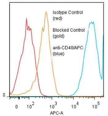 Binding of anti-CD40/APC to human Raji cells. Methods: Five x 10^5 human Raji cells per tube were incubated 45 min on ice with 80microl of anti-CD40/APC at a dilution factor of 1:50 (10microg/ml). Cells were washed three times, fixed and analyzed by FACS. Cells stained positive with a mean shift of 2.94 log10 fluorescent units when compared to a Mouse IgG1/R-PE negative control (#ANC-278-050). Binding was blocked when cells were pre-incubated 10 min with 20microl of 0.5mg/ml anti-CD40 antibody (#ANC-300-020).