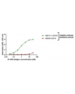 anti-SARS-CoV-2 Spike Protein S1 (NTD), mAb (rec.) (AB72-1-G09)