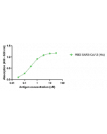 anti-SARS-CoV-2 Spike Protein S1 (RBD), mAb (rec.) (AB65-3-G12)