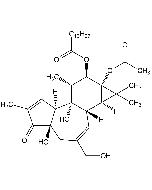 Phorbol 12-myristate 13-acetate [PMA]