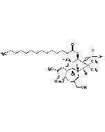 4α-Phorbol 12-myristate 13-acetate