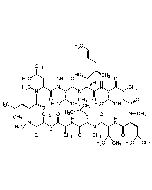 Cyclosporin C