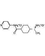 Y-27632 . dihydrochloride