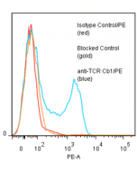 anti-TCR Cβ1 (human), mAb (Jovi-1) (R-PE)