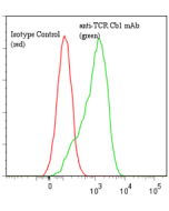 anti-TCR Cβ1 (human), mAb (Jovi-1) (preservative free)
