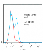 anti-CD244 (human), mAb (ANC2B4/3B12)