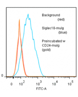 CD24 (human)-muIg Fusion Protein (preservative free)