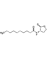 N-Decanoyl-L-homoserine lactone