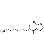 N-Octanoyl-L-homoserine lactone