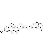 AMCA-X N-succinimidyl ester
