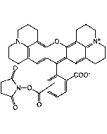 5(6)-ROX N-succinimidyl ester