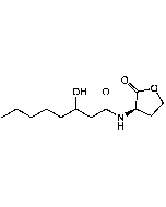 N-(3-Hydroxyoctanoyl)-DL-homoserine lactone