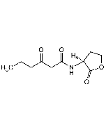 N-(3-Oxohexanoyl)-L-homoserine lactone