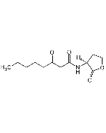 N-(3-Oxooctanoyl)-L-homoserine lactone