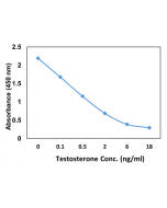 anti-Testosterone, Rabbit Monoclonal (RM435)