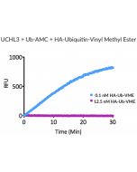 HA-Ubiquitin-vinyl methyl ester (human) (rec.) (HA)