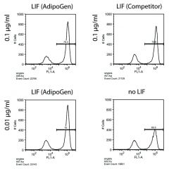 Figure: Human Leukemia Inhibitory Factor (LIF) (rec.) (AG-40B-0093) maintains pluripotency of mouse ES cells. Method: Mouse ES oct4 GFP cells were cultured for 3 days in the presence of the indicated concentrations of LIF and followed 