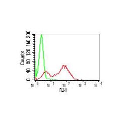 Intracellular flow cytometry analysis of TLR3 in human PBMCs (lymphocytes) using 0.5µg/106 cells of anti-TLR3 (human), mAb (ABM15D5) (R-PE) (AG-20T-0301R). Green represents isotype control; red represents R-PE-conjugated anti-TLR3 (human), mAb 