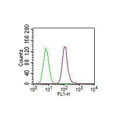 Intracellular flow cytometry analysis of in THP1 cells using anti-TLR7 (human), mAb (ABM2C27) (FITC) (AG-20T-0306F) at 0.5µg/106 cells. Green represents isotype control; red represents FITC-conjugated anti-TLR7 (human), mAb (ABM2C27). 