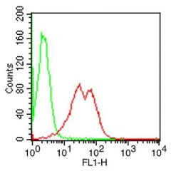Intracellular flow cytometry analysis in mouse splenocytes using anti-TLR9 (mouse), mAb (ABM4D70) (FITC) (AG-20T-0309F) at 0.25µg/106 cells. Green represents isotype control; red represents FITC-conjugated anti-TLR9 (mouse), mAb (ABM4D70).