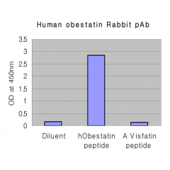 ELISA (indirect: 1:20’000.): Analysis of production of anti-Obestatin (human), pAb (Prod. No. AG-25A-0043) after peptide immunization.